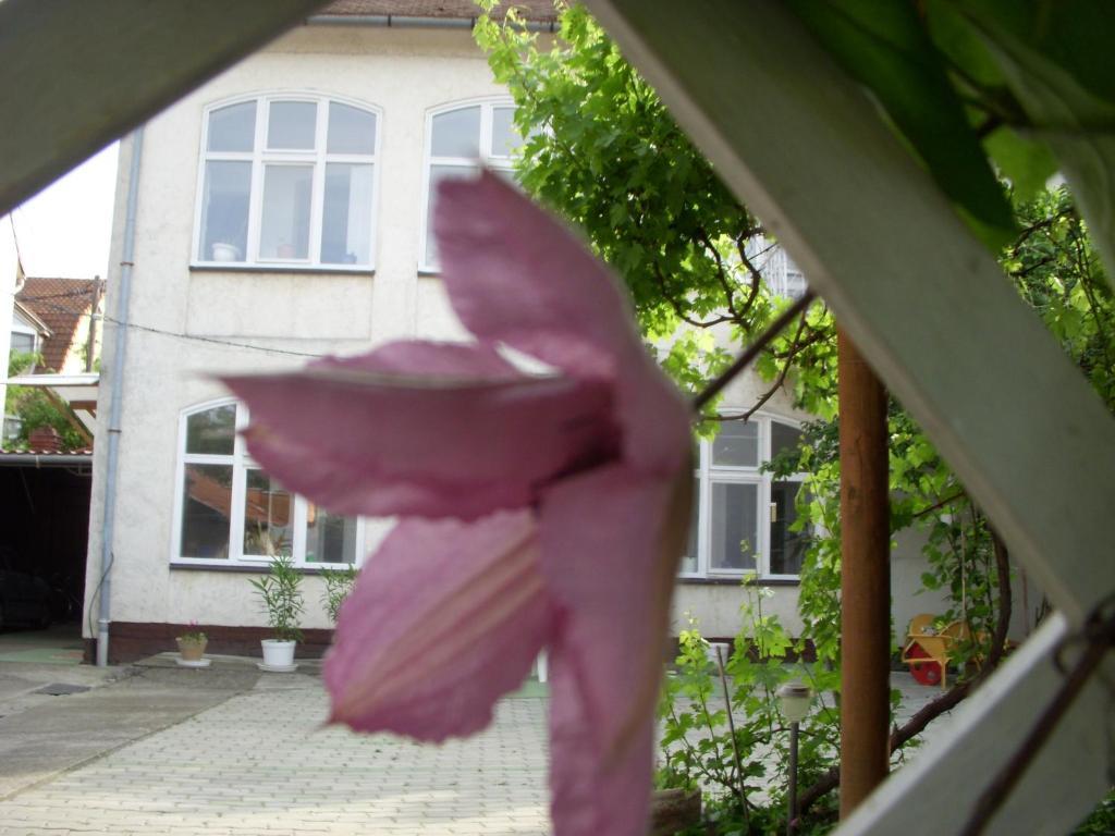 Garden Szivarvany Utcai Vendeghaz Szeged Bagian luar foto